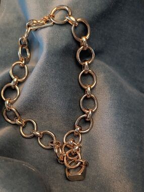 NWT House of Harlow necklace with ring.